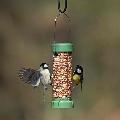 RSPB Classic easy-clean® suet pellet and peanut feeder - small product photo side T