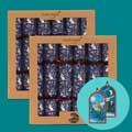 RSPB Wooden decoration Christmas crackers, two boxes of six product photo default T