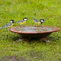 Echoes ceramic bird bath product photo side T
