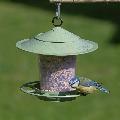 Eco beacon bird feeder product photo side T