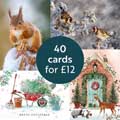 Fab forty RSPB charity Christmas cards - pack of 40 product photo default T