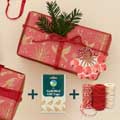 Folksy Robin wrapping paper bundle product photo default T