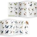 Garden birds identifier chart - RSPB ID Spotlight series product photo side T
