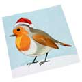 RSPB 'Pin the beak' game plastic-free Christmas crackers, box of six product photo front T