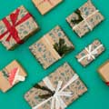 Hidden Hedgehog wrapping paper, 10 metres product photo ai5 T