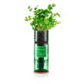 Coriander Hydro-herb kit product photo default T