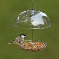 I Love Robins® pearl feeder product photo default T