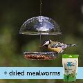 I love Robins® pearl feeder & dried mealworms product photo default T