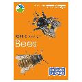Bees identifier chart - RSPB ID Spotlight series product photo default T