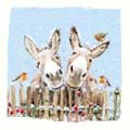 Little Donkeys Christmas cards, pack of 10 product photo default T