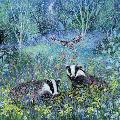 Moonlit badgers greetings card product photo default T