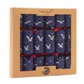 Moonlit Owl recycled crackers with glider toys, box of six product photo front T