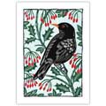 'One colly bird' Blackbird Christmas cards, pack of 10 product photo default T