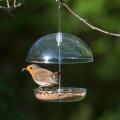 I Love Robins® pearl feeder product photo default T