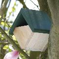 RSPB Robin and Wren diamond nest box product photo default T