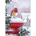 Robin post box Christmas cards, pack of 10 product photo default T