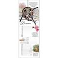 RSPB Friends and neighbours calendar 2027 product photo side T