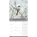 RSPB Garden birds calendar 2027 product photo side T