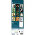 RSPB Owls calendar 2027 product photo back T