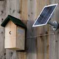 Solar-powered wireless wifi nest camera with nest box product photo default T