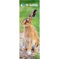 RSPB Wildlife calendar 2027 product photo default T