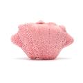 Zooprise Seal in shell plush product photo ai5 T