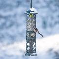 Squirrel Buster, suet pellet and peanut feeder product photo ai5 T