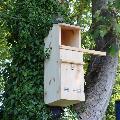 RSPB Tawny Owl nest box product photo side T