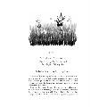 To have and to hold: Nature's hidden relationships product photo back T