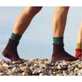Turtle Dove merino socks by Silverstick & Matt Sewell, size 4-7 product photo back T