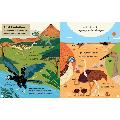What makes a bird?: An illustrated guide to the bird world product photo back T
