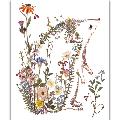 Wildflower hedgehog greetings card product photo default T