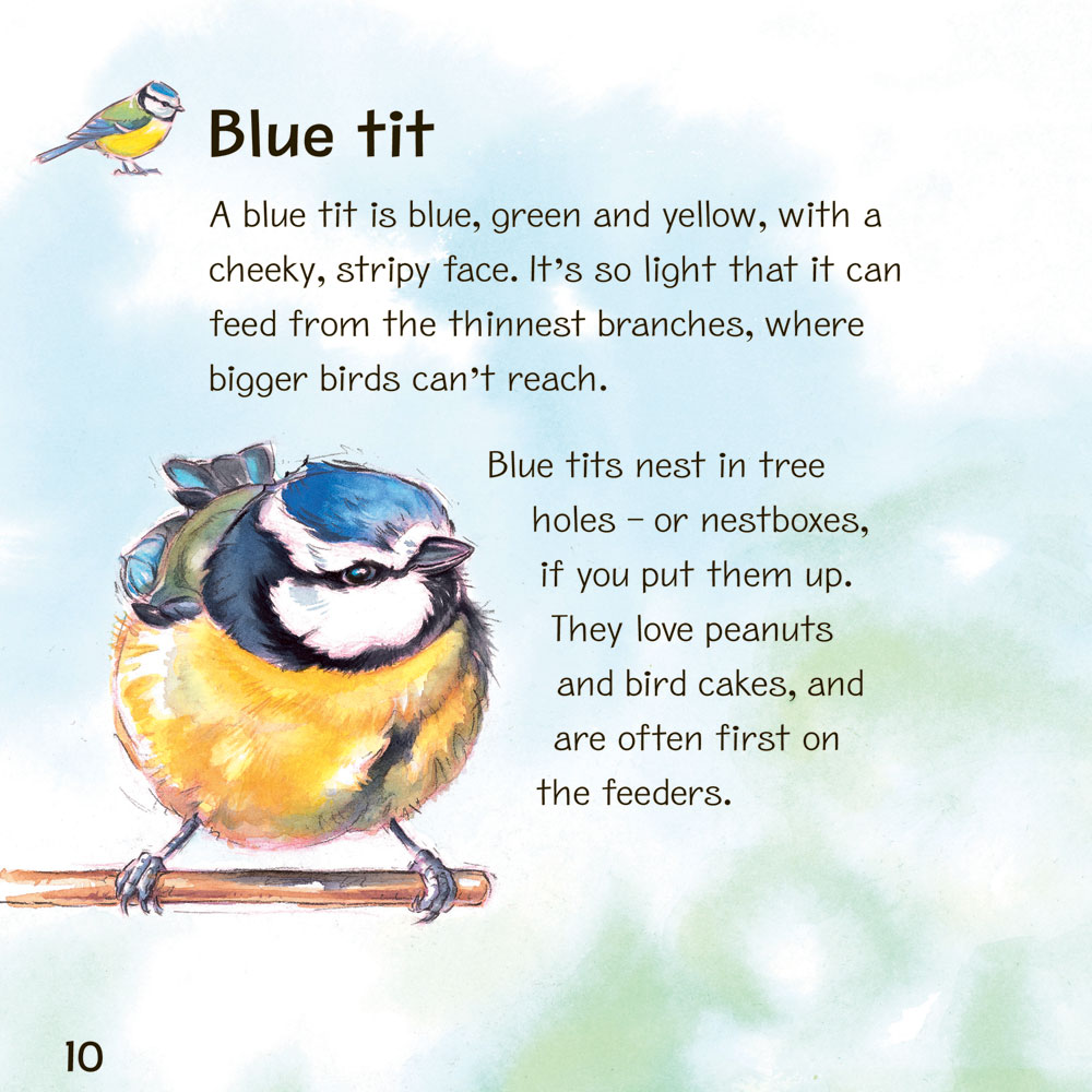 My First Book of Garden Birds product photo front L