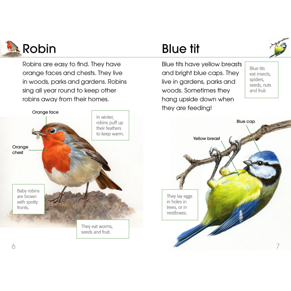 RSPB First book of birds product photo front L