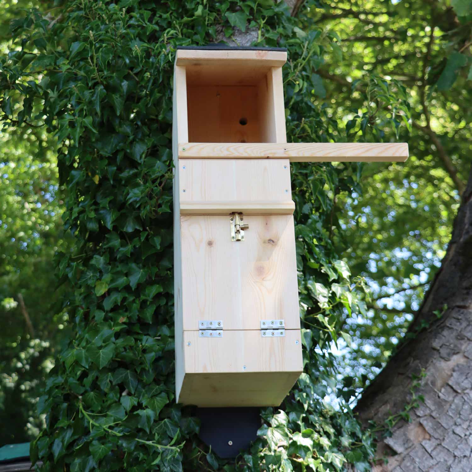 Tawny Owl Bird Box Bird Houses Nest Boxes - Main Image