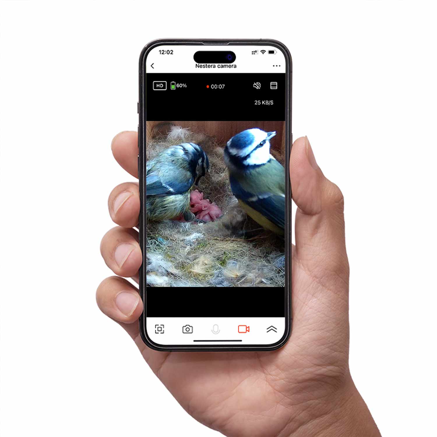 Solar-powered wireless wifi nest camera with nest box Nest box